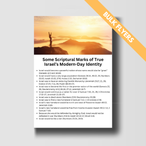 Some Scriptural Marks - Bulk Flyers