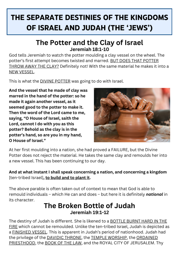 Separate Destinies, Potter - Bulk Flyers - Image 2